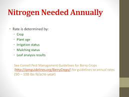 For the berry crop in question. Ppt Berry Crop Soil And Nutrient Management The Basics Powerpoint Presentation Id 1621696