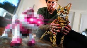 Maybe you would like to learn more about one of these? Unsere 3 Katze Youtube