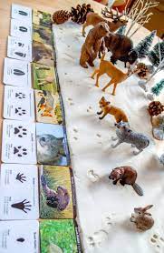 Animal Tracks In Snow Playdough Winter Activities Preschool Animal Tracks In Snow Animal Tracks
