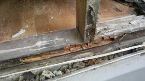 Our Mold Removal Services - Extensive mold damages to sheetrock in ...
