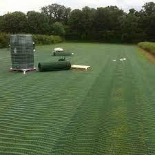 Grassprotecta Grass Reinforcement Mesh 6 56 X 65 6 Roll 432 Sq Ft Standard Grade Turf Protection Grass Parking Lots Grass Paving