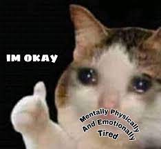 It S Okay If He S Okay Okay Meme