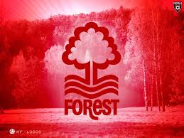 Nottingham forest emerged from a group of shinny players (a form of field hockey) who resolved at a meeting in the clinton arms to adopt association football. Nottingham Forest Wallpapers Top Free Nottingham Forest Backgrounds Wallpaperaccess