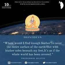Where would I find enough leather to cover the entire surface of the earth? But with leather soles beneath my feet, It's as if the whole world has been covered.” Shantideva .