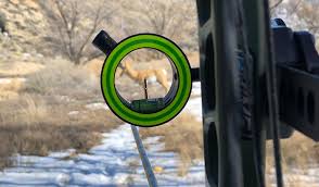 We did not find results for: Debunking Single Pin Sight Myths Petersen S Bowhunting