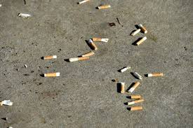 images?q=tbn:ANd9GcR6-1hsE7kgzGxNpKLVORu