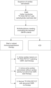 imaging the inflammatory activity of sarcoidosis european