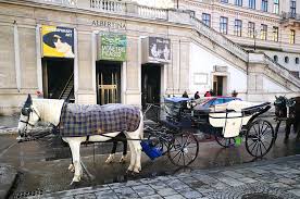For guests who can still take two small steps (with support), a second stage can be installed and you can sit comfortably on the bench. Tour Through Vienna And Short Introduction To History Of Fiaker
