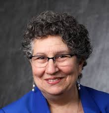 Election 2020: NY Senate candidates , Monroe and Ontario counties