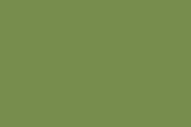 Try benjamin moore spruce green with peel & stick samples made with real paint Sweet Art Creations Spruce Green Paste Colour