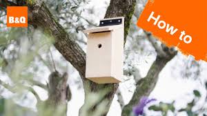 Find out why we gave it a 5/5 star rating. How To Build A Bird Box Youtube