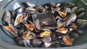 Moules Marinieres Au Monsieur Cuisine Pas A Pas Youtube