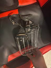 Toronto Pet Rescue/Adoption Experiences