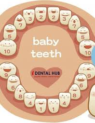 Baby Teeth Chart Levi Baby Baby Kids Baby Health