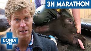 Pay it forward in veterinary medicine with renowned Dr. Doug Mader