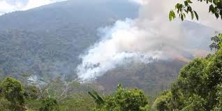 Kawasan hutan sama berat di desa setianegara maupun palutungan bisa dijadikan objek wisata ilmu dalam bidang vulkanologi, ekologi, konservasi, hidrologi, . Kebakaran Gunung Ciremai Meluas Merdeka Com