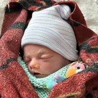 9223522_fbs.jpg?cb=20250810093621