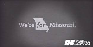 Our mission is to help people manage the risks of everyday life, recover from the unexpected and realize their dreams. Missouri Farm Bureau Linkedin