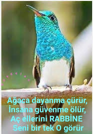 Pin By Aleyna Firat Turker On Guzel Sozler In 2020