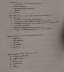 A protective cell membrane, cytoplasm, a distinct nucleas that carries much of the organism's dna, and small bodies called organelles. 1 All Of The Following Are Found In Prokaryotic Cell Chegg Com