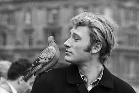 Jeune homme tu parles comme un homme a croire que dans la vie t'as tout appris. Johnny Hallyday Un An Deja Quand Johnny Racontait Leon Smet Son Pere