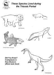 Getcolorings.com has more than 600 thousand printable coloring pages on sixteen thousand topics thousands of printable coloring pages, for kids and adults! Natural History Coloring Sheets New Mexico Museum Of Natural History Science