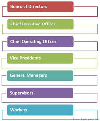 corporate management hierarchy business management