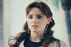 Catch The Boss Your Wife's A Whole Detective Actors: A Full Character Guide 