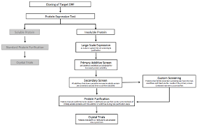 Flowchart Of The Additive Screen In The Context Of High