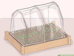 We did not find results for: 3 Ways To Make A Mini Greenhouse Wikihow