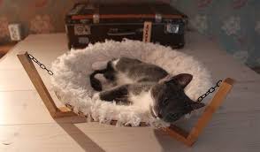 Comment Faire Un Hamac Pour Chat Diy Cat Hammock Diy Stuffed Animals Cat Accessories Pet