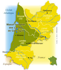 1 ответ 2 ретвитов 4 отметки health minister olivier veran said sunday that clusters have been confirmed in the southwest #landes region. Zoom On The Forest Of The Landes Of Gascogne Les O