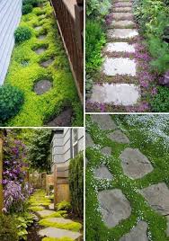 Create A Blend Of Textures With Grass Creeping Sedums Blue Star Creeper Creeping Thyme And Sagina Subulata An Trittsteine Garten Garten Gartengestaltung Ideen