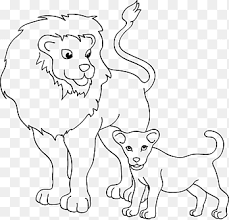 Ausmalbild Lion Zoo Animal Coloring Book Modern Resume White Mammal Png Pngegg