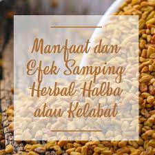 Maka dari itu, tidak disarankan bagi perusahaan untuk mempekerjakan pekerja outsource pada kegiatan. Manfaat Dan Efek Samping Herbal Halba Atau Kelabat Cairo Food