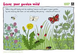 We did not find results for: The Wildlife Trusts On Twitter Planning A Lazy Sunday Did You Know That One Of The Best Things You Can Do For Wildlife In Your Garden Is To Leave It Alone Why