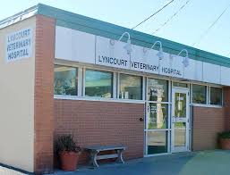 Compassionate veterinary care from pleasant plains animal hospital. About Us