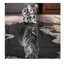 Cat Tiger Full 3d Diy Diamond Painting Square Rhinestone Cross Etsy In 2021 Cute Animals Animals Beautiful Animals