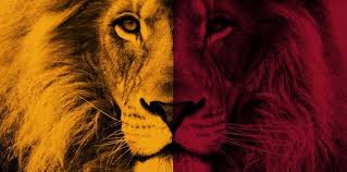 Maybe you would like to learn more about one of these? Aslan Son 8 Macta Da Kazandi Fotomac