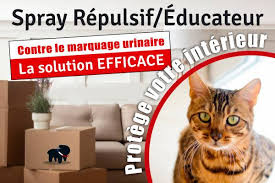 Repulsif Chat Interieur Maison Auberdog