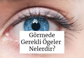 Gormede Gerekli Ogeler Nelerdir Rehber Universite