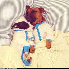 Uza caz cuz kelime yapma. Soguk Kis Aylarinda Hayat Kurtaran 22 Sicacik Ipucu Onedio Com