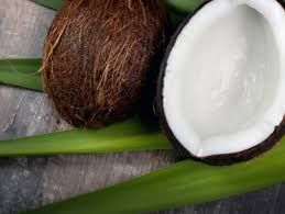 Image result for free images of coconuts and oil