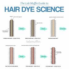 How Do Different Types Of Hair Dye Work The Science Hair Science Dyed Hair Oway Hair Color