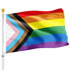 Espero que gostem do novo video !! Progress Pride Rainbow Flag 3x5 Outdoor Bisexual Lgbtq Non Binary Lesbian Gay Transgender Prides Proculsexual Flags Amazon In Garden Outdoors