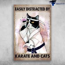 We did not find results for: Karate Cat Easily Distracted By Karate And Cats Canvas Poster Fridaystuff