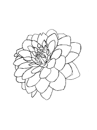 Select from 35655 printable crafts of cartoons, nature, animals, bible and many more. Dahlia Flower Coloring Pages Download And Print Dahlia Flower Coloring Pages