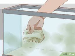 Salt should never be dosed into the main tank. How To Treat Fin Rot 10 Steps With Pictures Wikihow