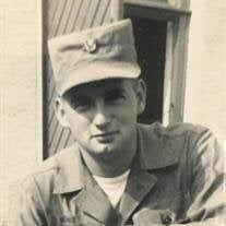 David E. Lemke Sr. Obituary