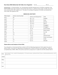 Each nucleotide consists of a deoxyribose sugar, a dna's nitrogen bases are adenine, thymine, cytosine, and guanine. Snorks Dna Determing The Traits Of An Organism